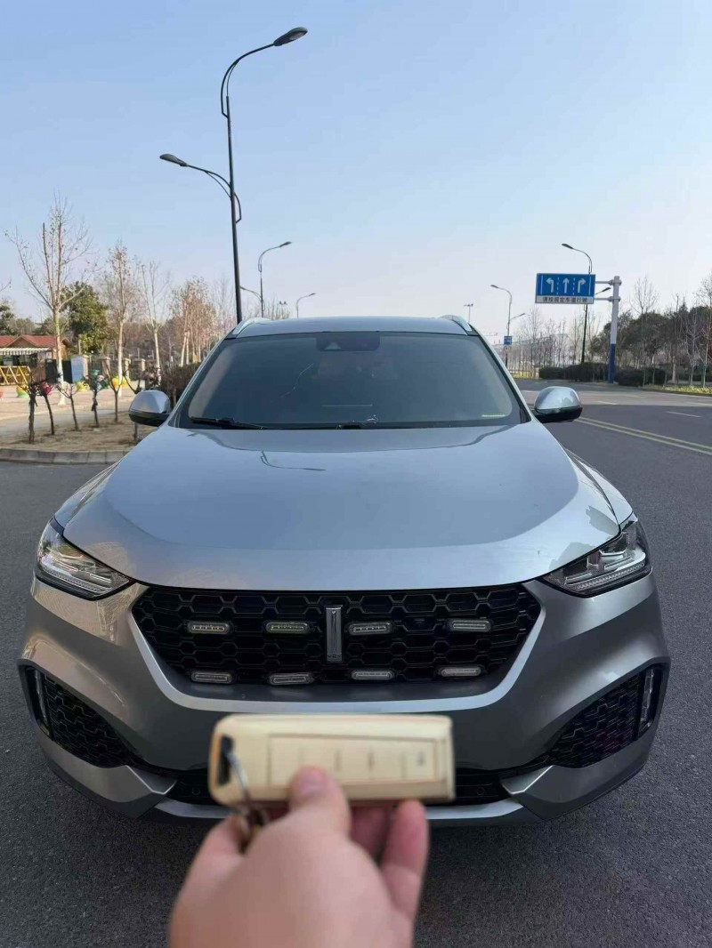 安庆19年长城汽车魏牌1