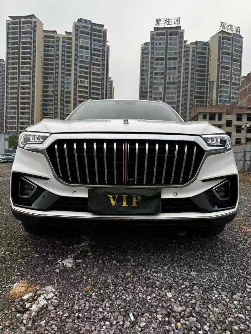 娄底20年红旗HS51