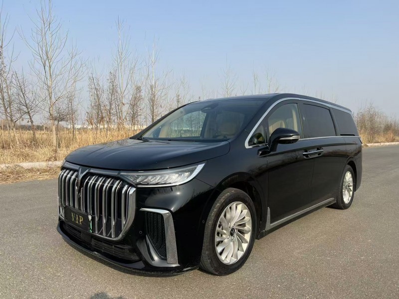 盐城24年岚图汽车梦想家2