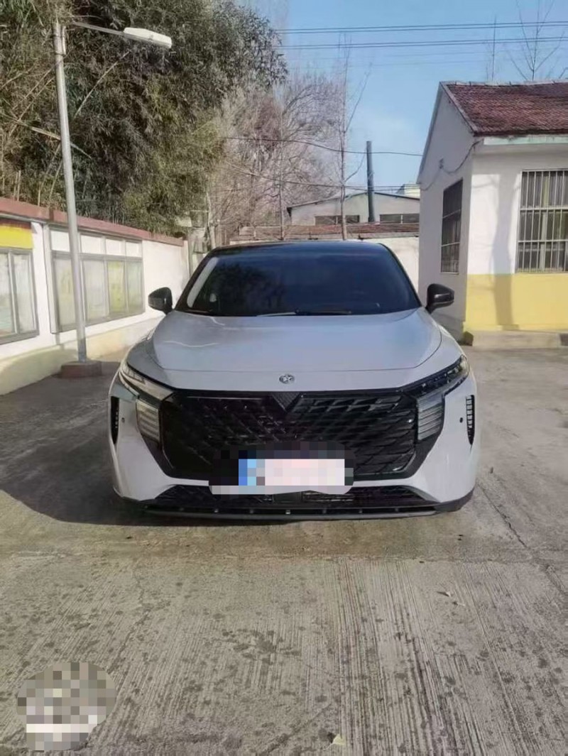 潍坊23年启辰大V1