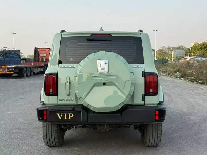 梧州23年長城汽車坦克9