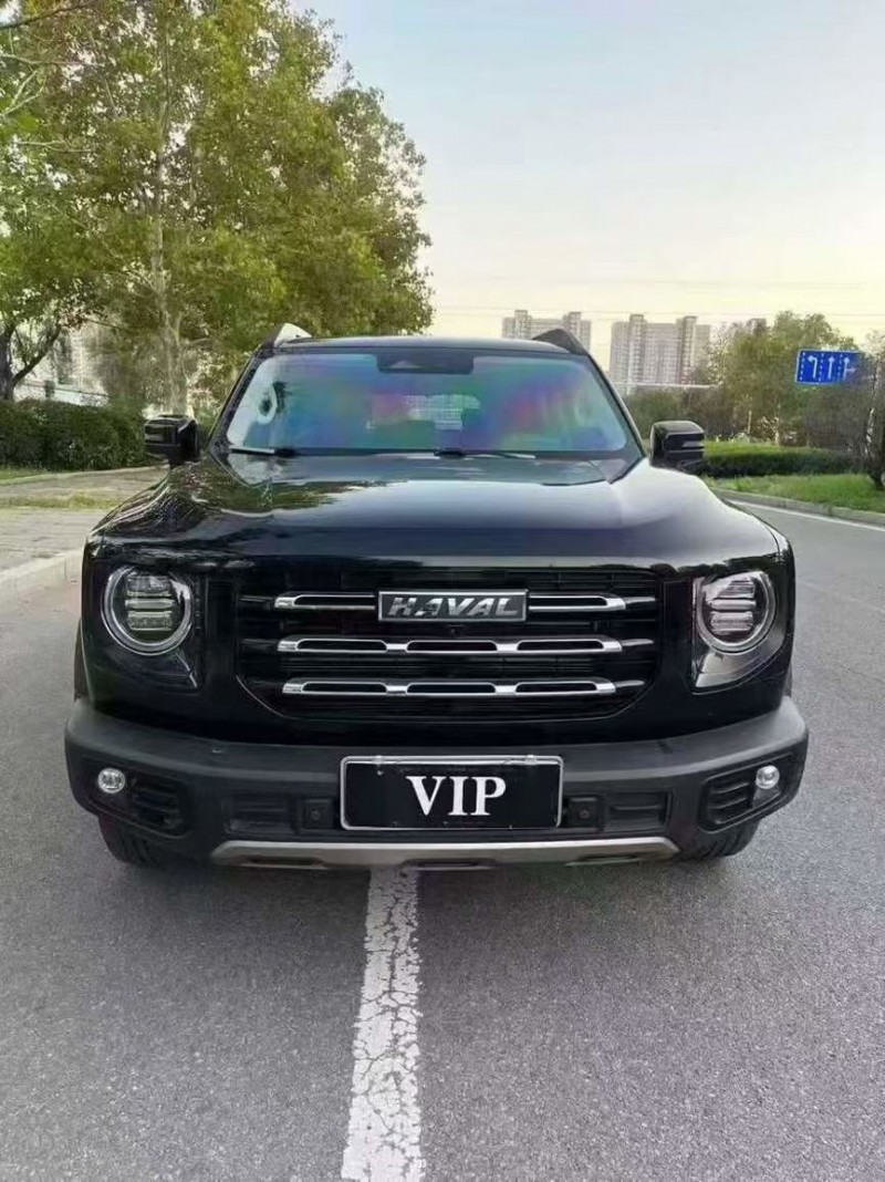 濰坊23年哈弗大狗1