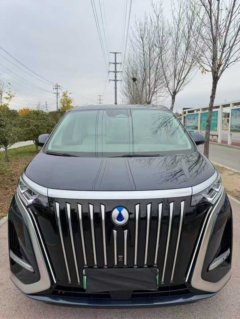 枣庄24年腾势D91