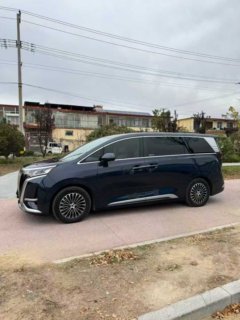 枣庄24年腾势D92