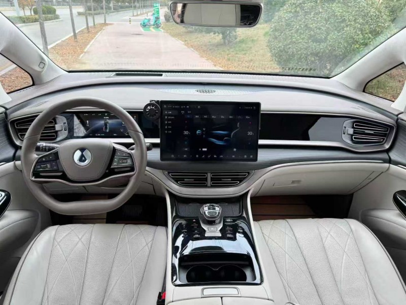 枣庄24年腾势D96