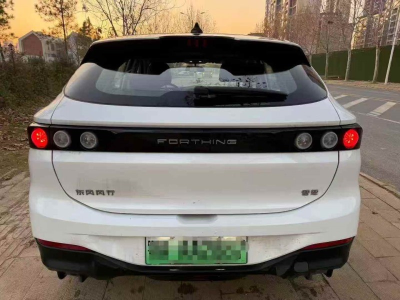 孝感24年东风风行9