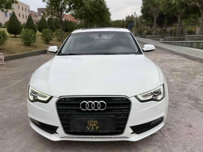 揭阳16年奥迪A51