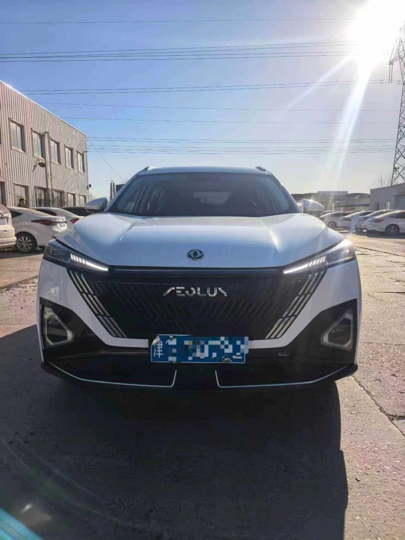 保定24年东风风神1