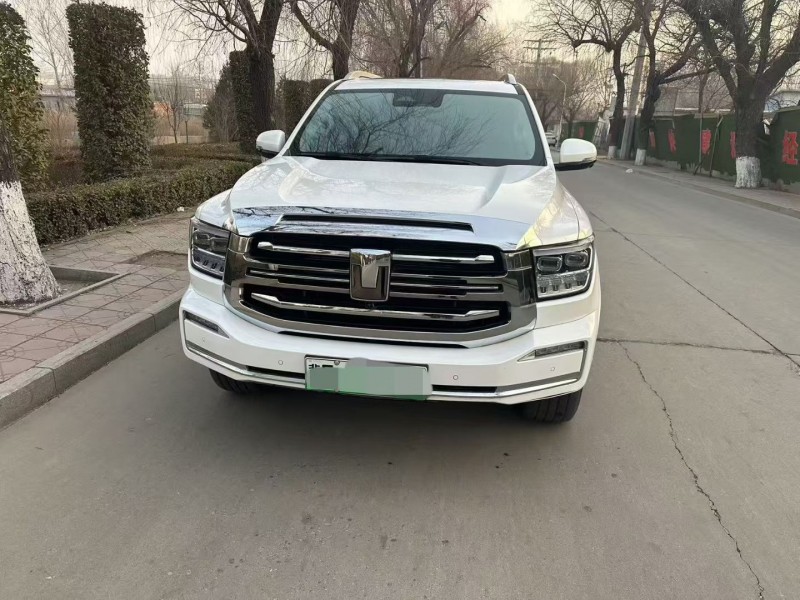 廊坊24年長城汽車坦克1