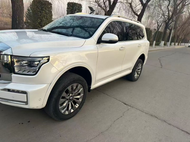 廊坊24年長城汽車坦克3