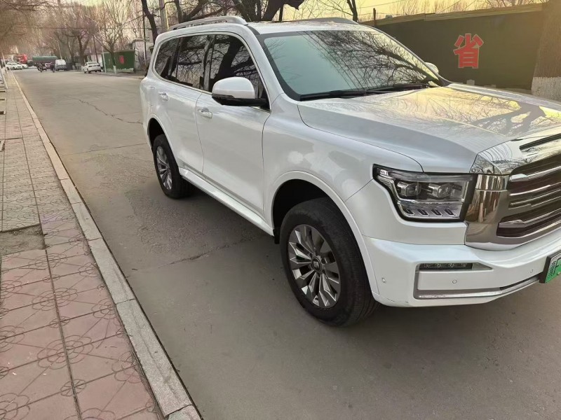 廊坊24年長城汽車坦克5