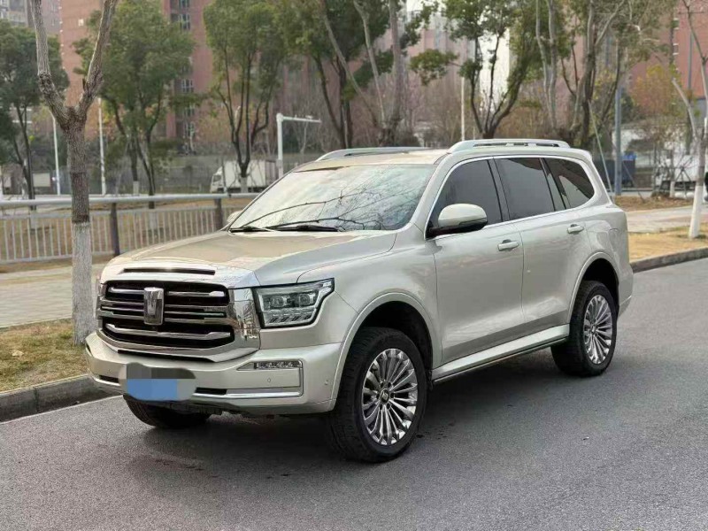 马鞍山23年长城汽车坦克2