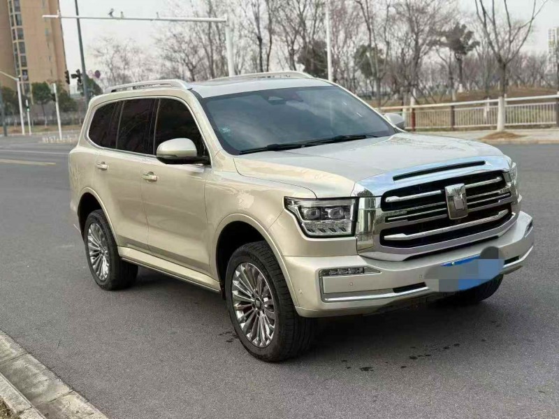 马鞍山23年长城汽车坦克3