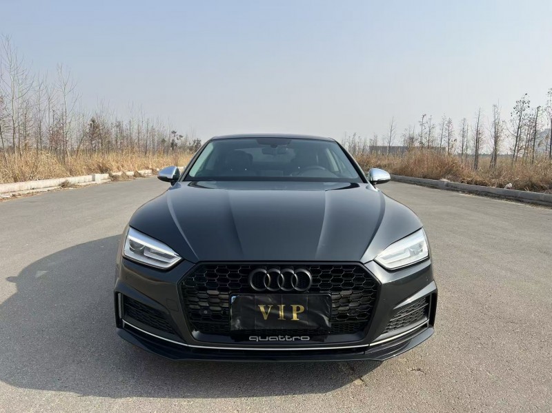 盐城19年奥迪A51