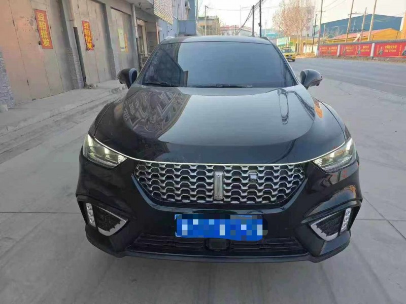 保定20年长城汽车WEY1