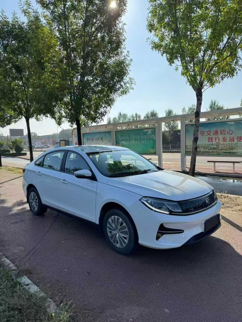 枣庄24年东风风行3