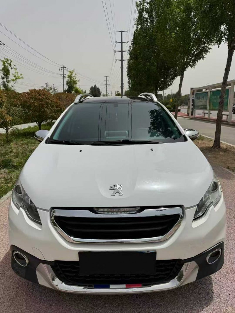 枣庄17年东风标致1