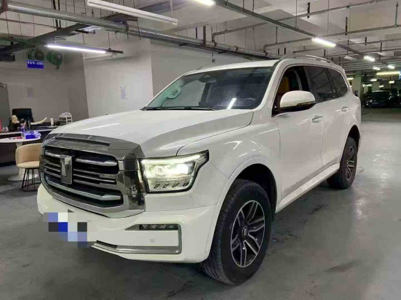 广元24年长城汽车坦克2