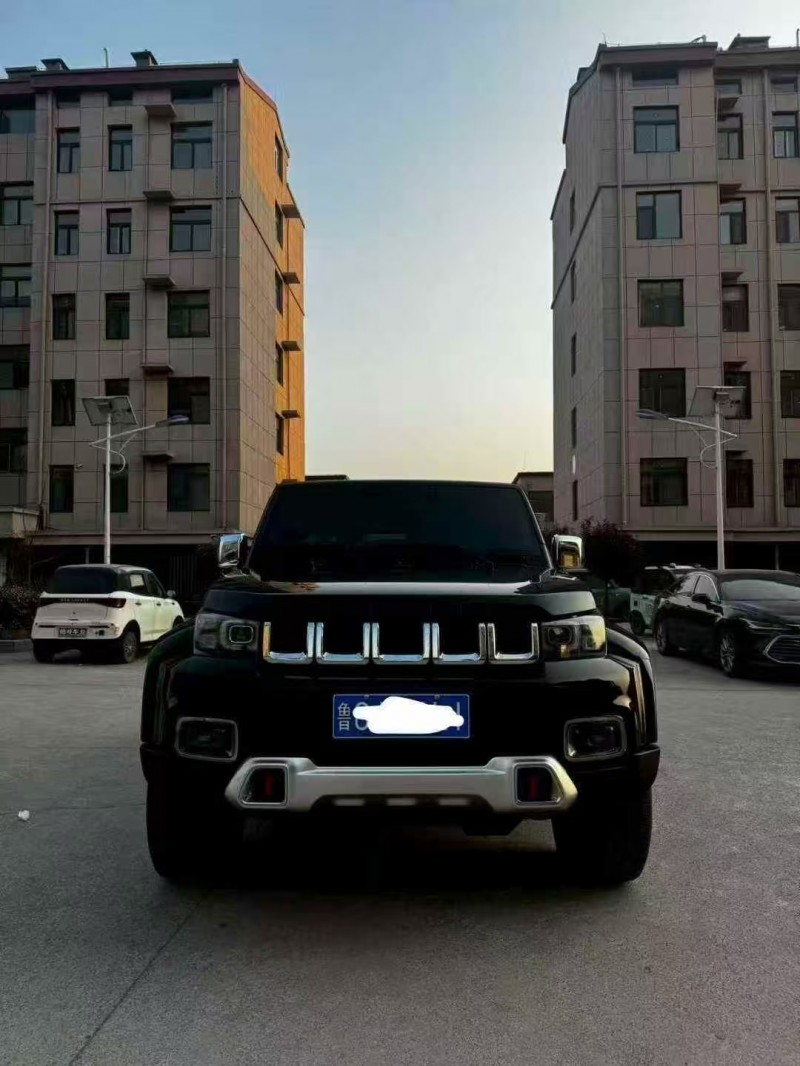 东营23年北京BJ401