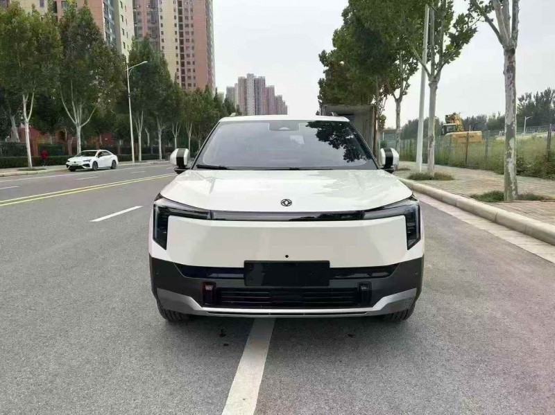 郑州25年东风纳米1