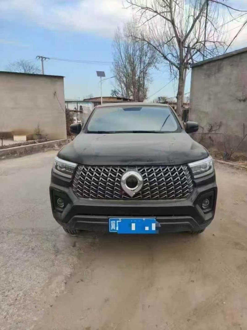 邯郸23年长城汽车炮 皮卡1