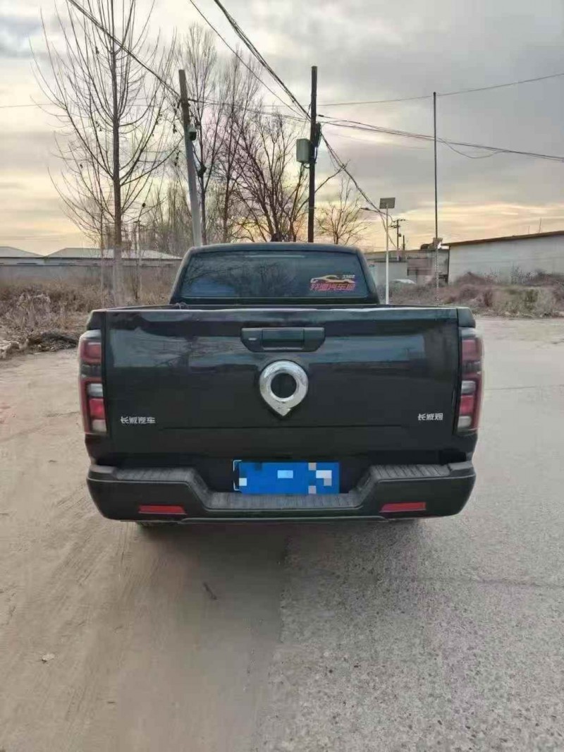 邯郸23年长城汽车炮 皮卡9