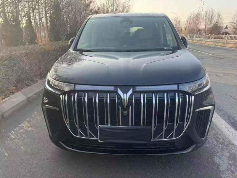 济宁22年岚图汽车梦想家1