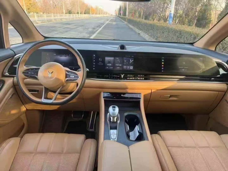 济宁22年岚图汽车梦想家5