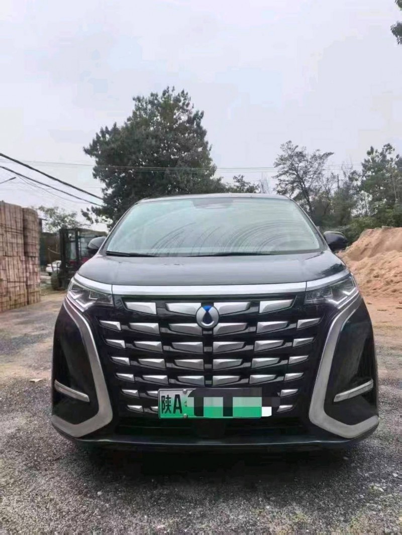 西安24年腾势D91