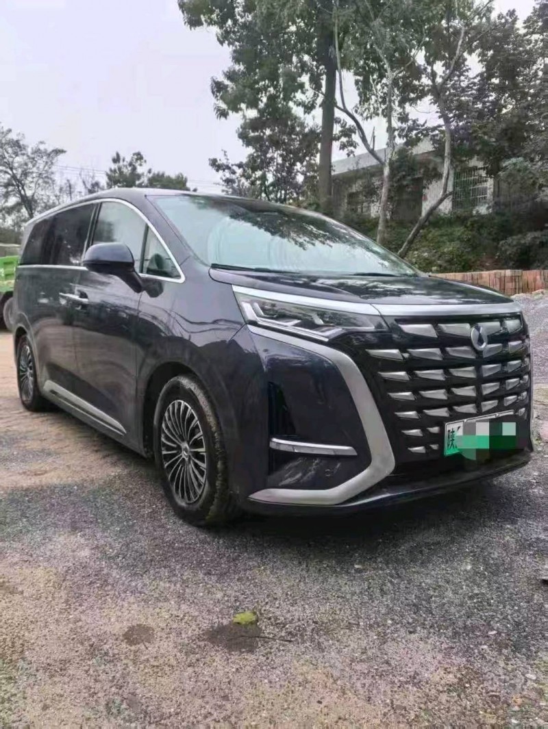 西安24年腾势D93