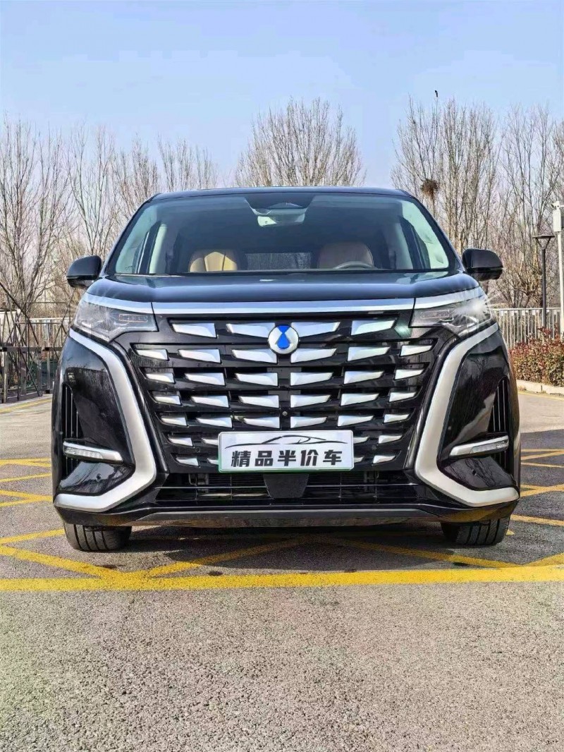 保定23年腾势D91