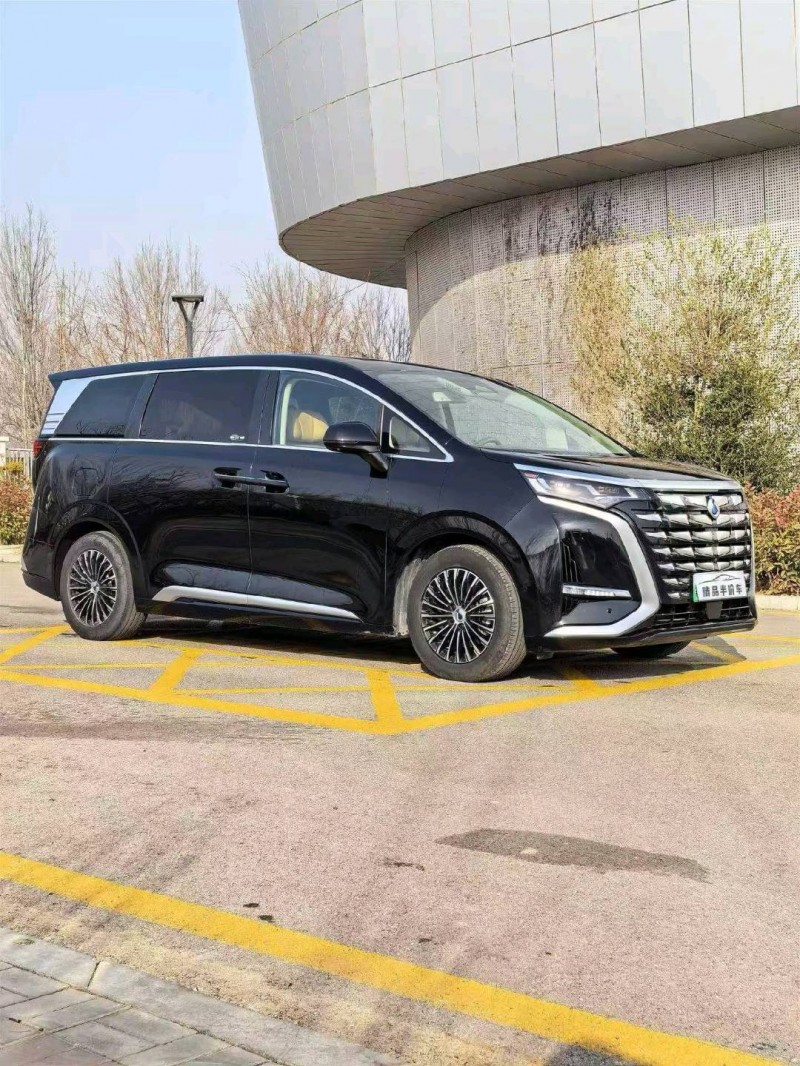 保定23年腾势D92