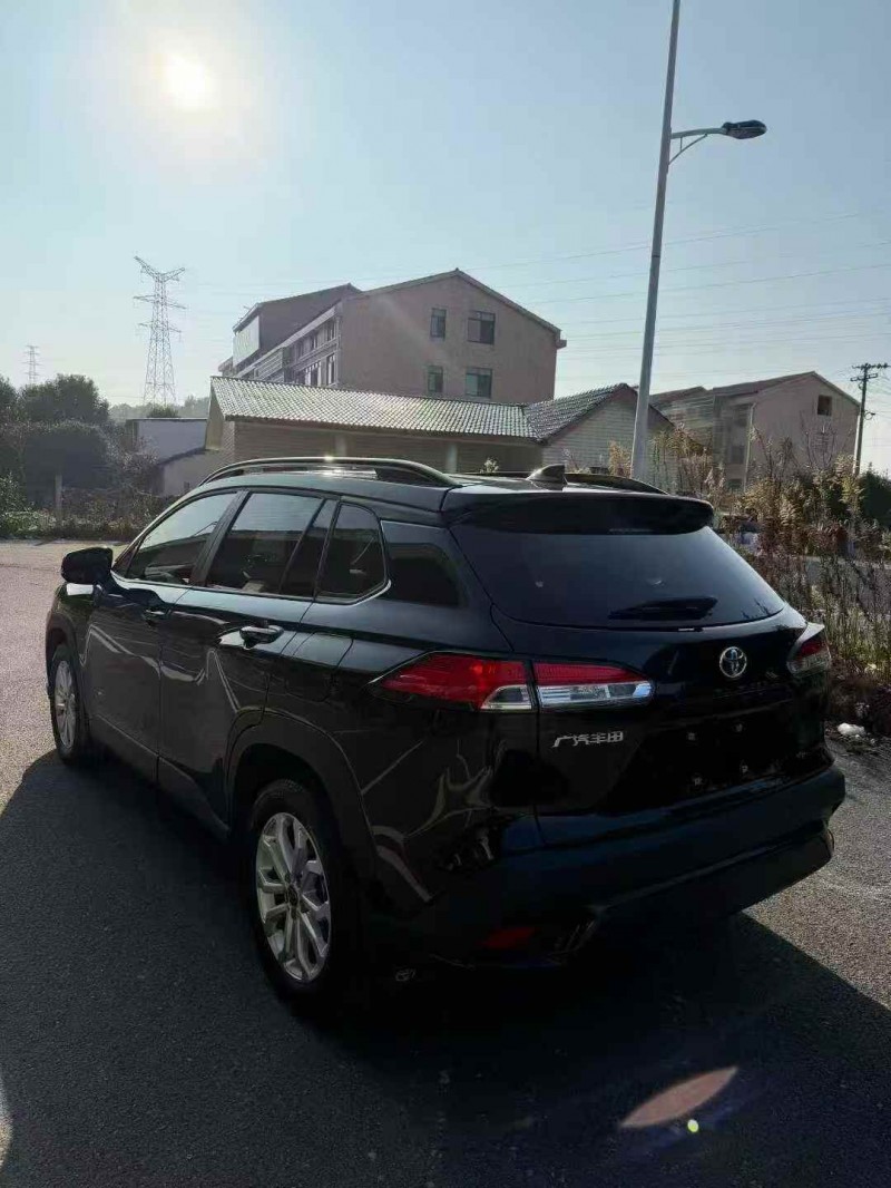 上海20年阿尔法·罗密欧ALFA 1668