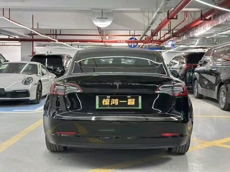 广州20年特斯拉MODEL 38