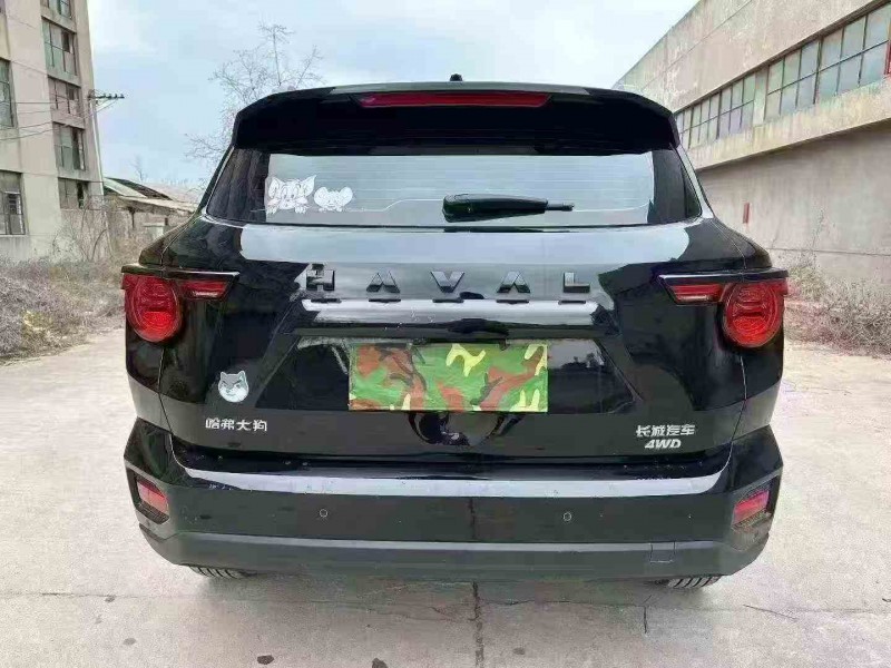 潍坊24年哈弗大狗8