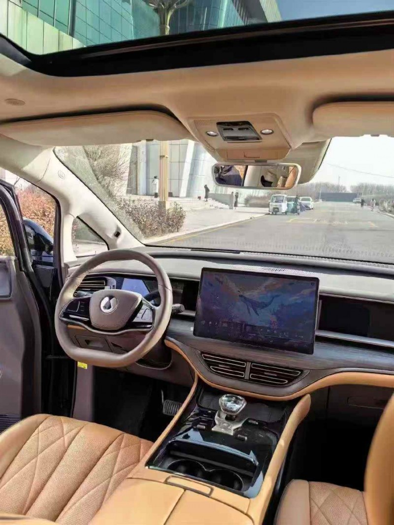 石家庄23年腾势D94