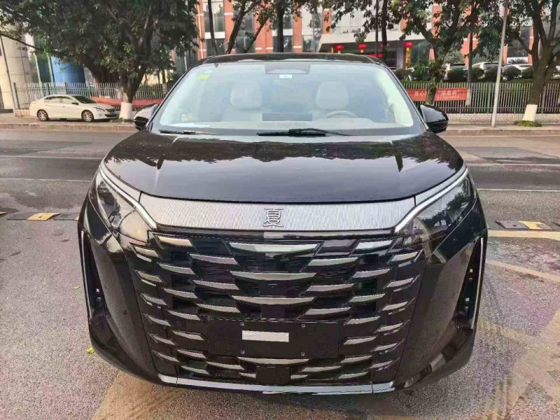 重庆25年比亚迪夏1