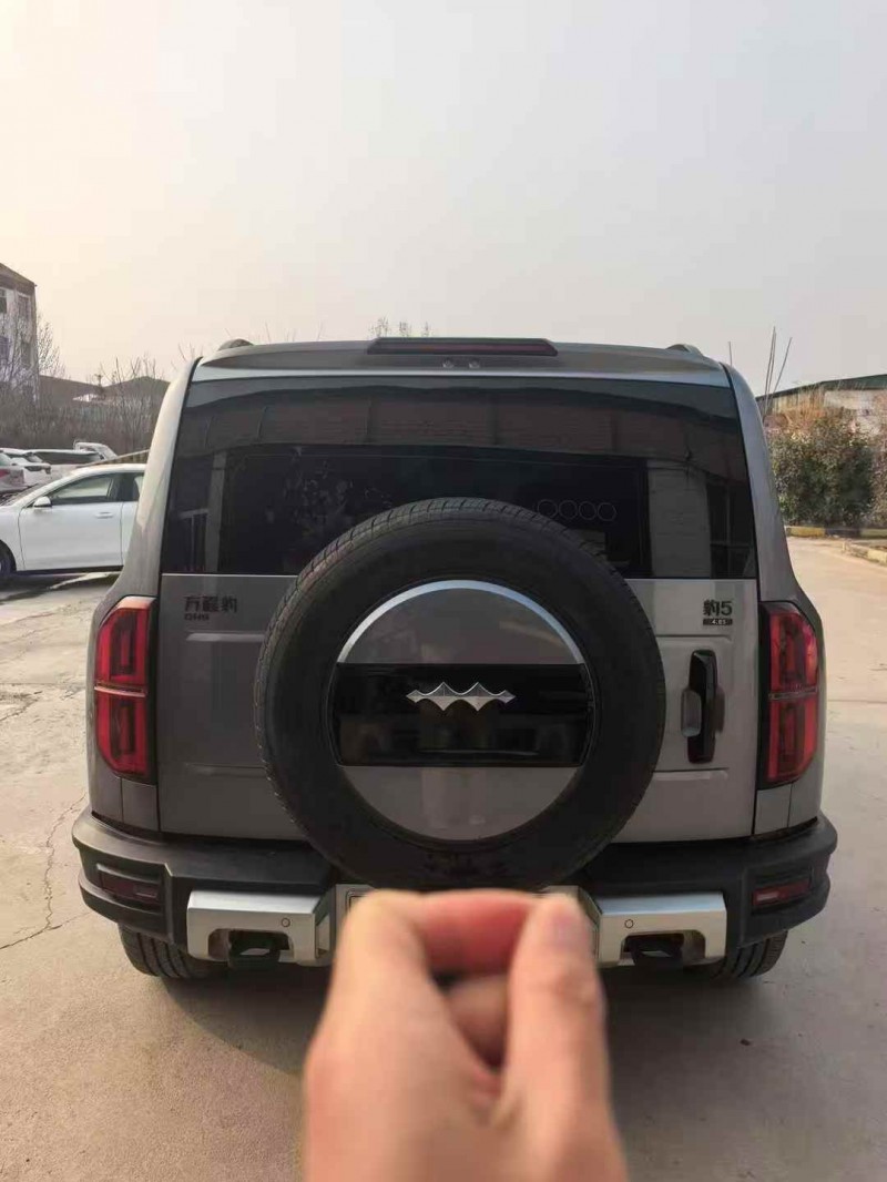 菏泽24年比亚迪方程豹9