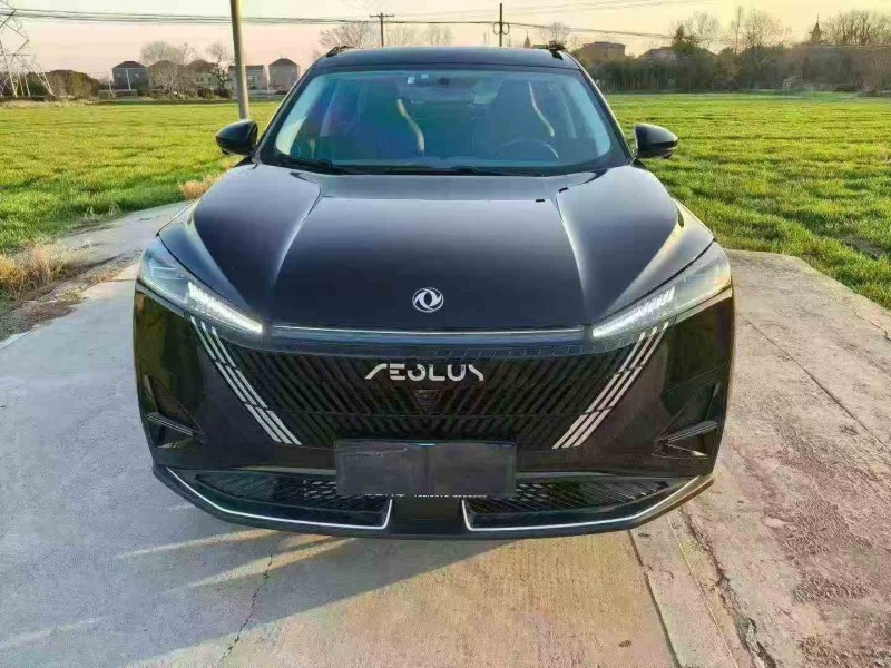 衢州24年东风风神1