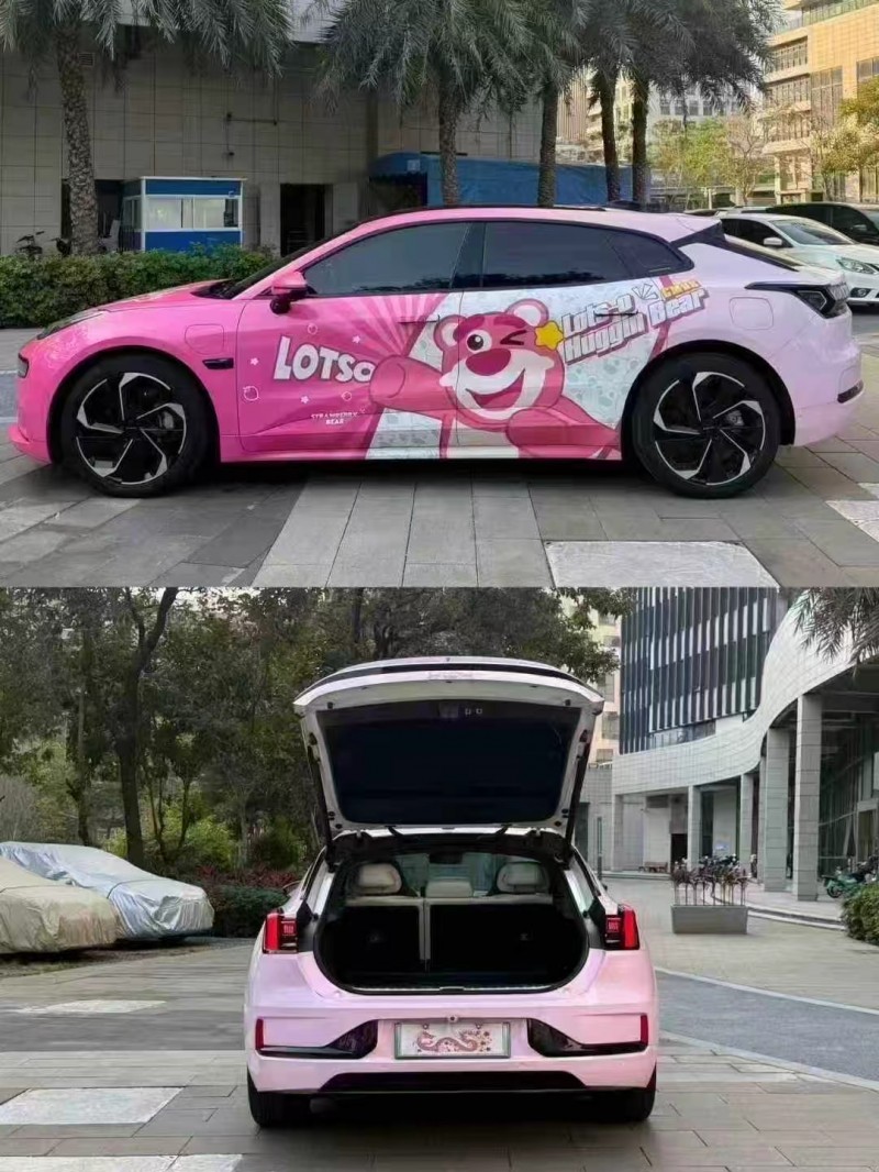 佛山22年极氪汽车0016