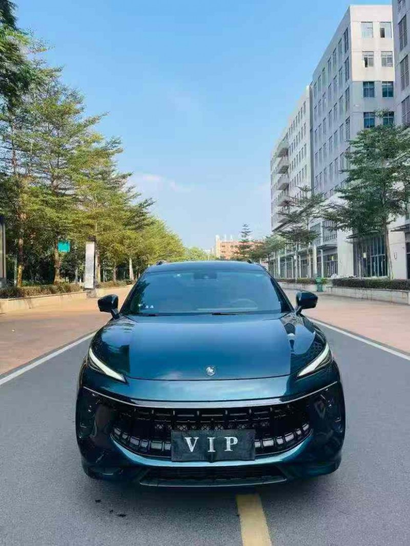 东莞21年东风风行1