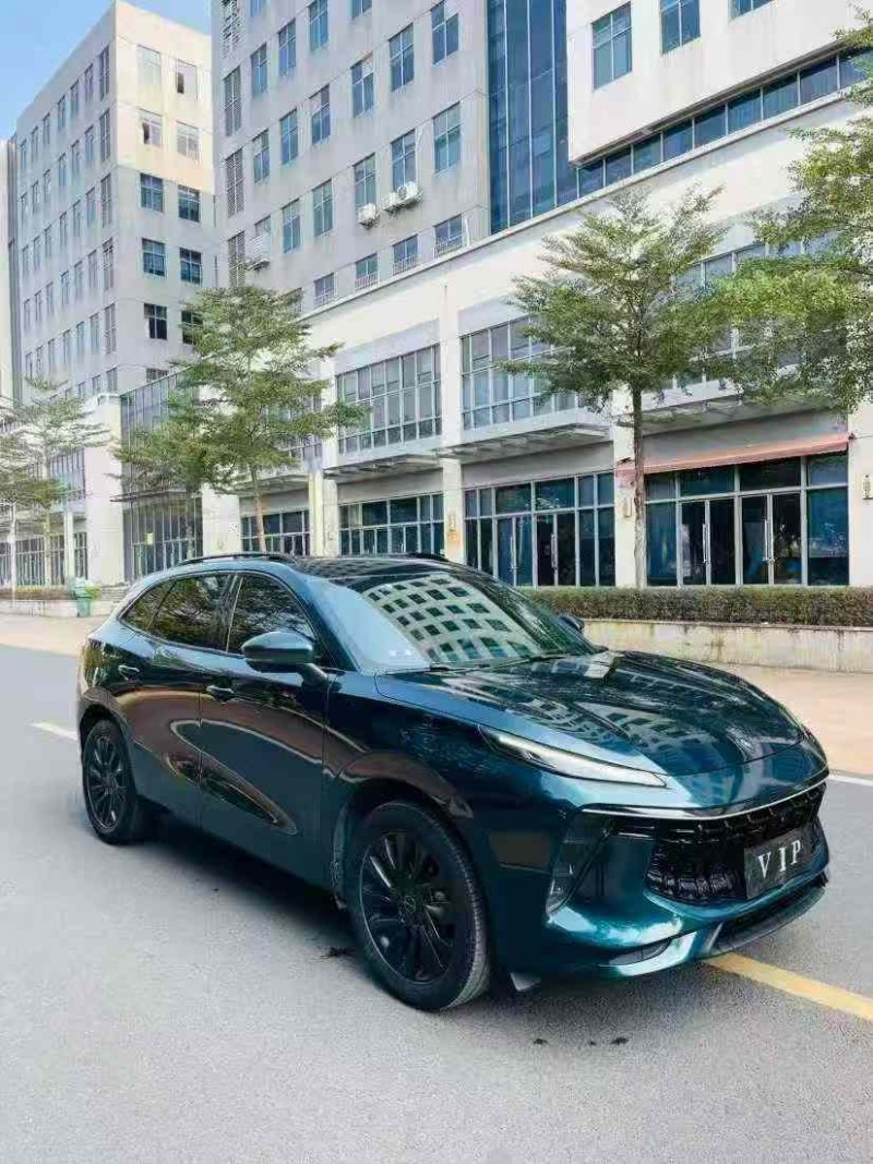 东莞21年东风风行2