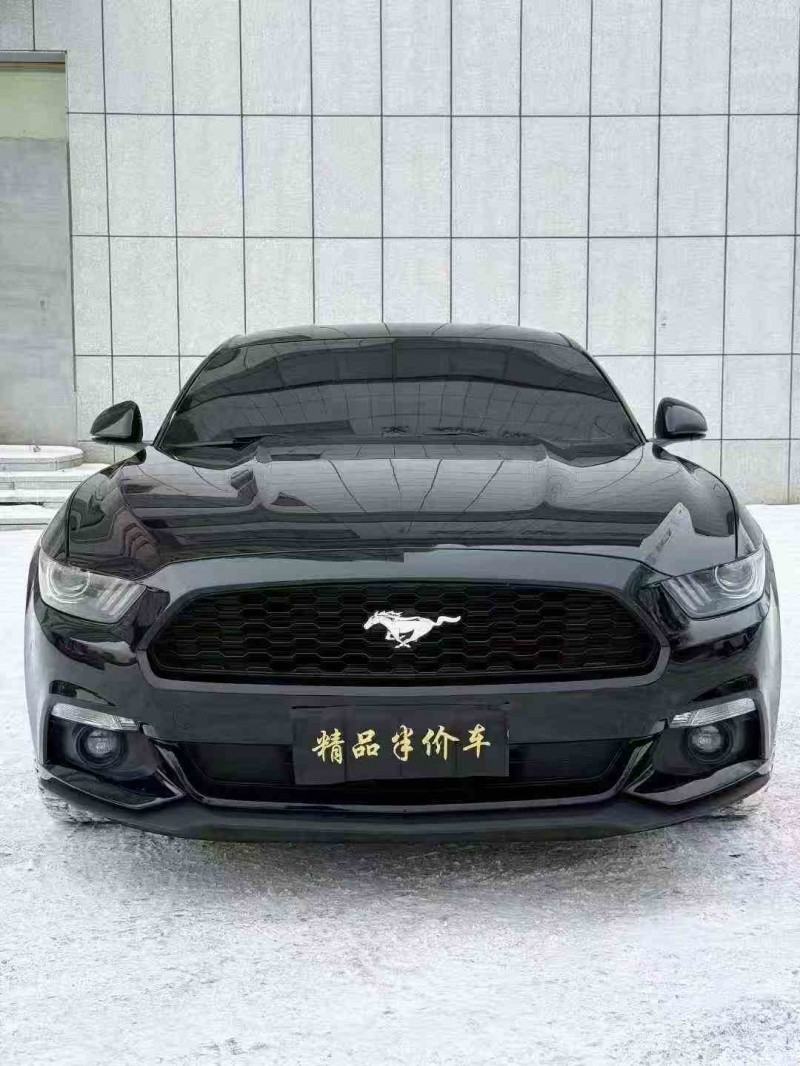 吉林16年福特野马1