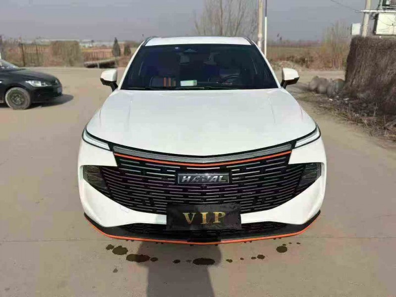 枣庄22年哈弗神兽1