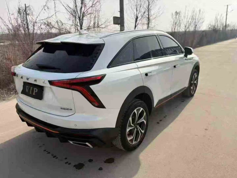 枣庄22年哈弗神兽9