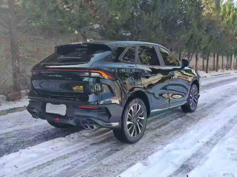 运城24年东风风行7