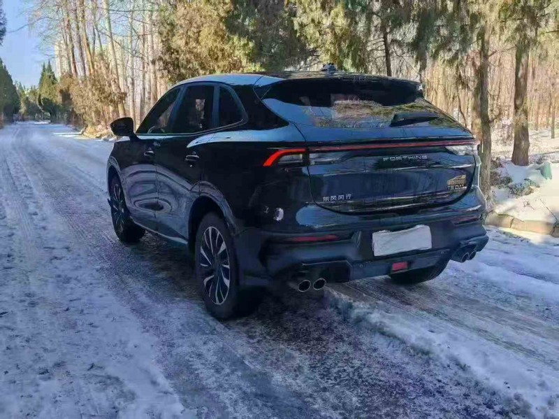 运城24年东风风行8