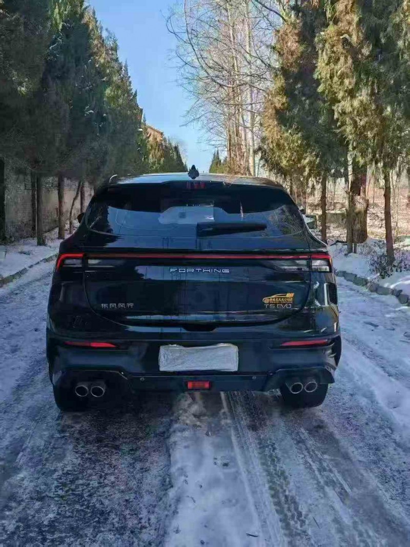 运城24年东风风行9