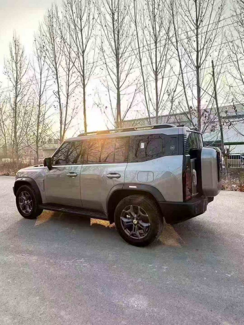 天津25年奇瑞捷途6