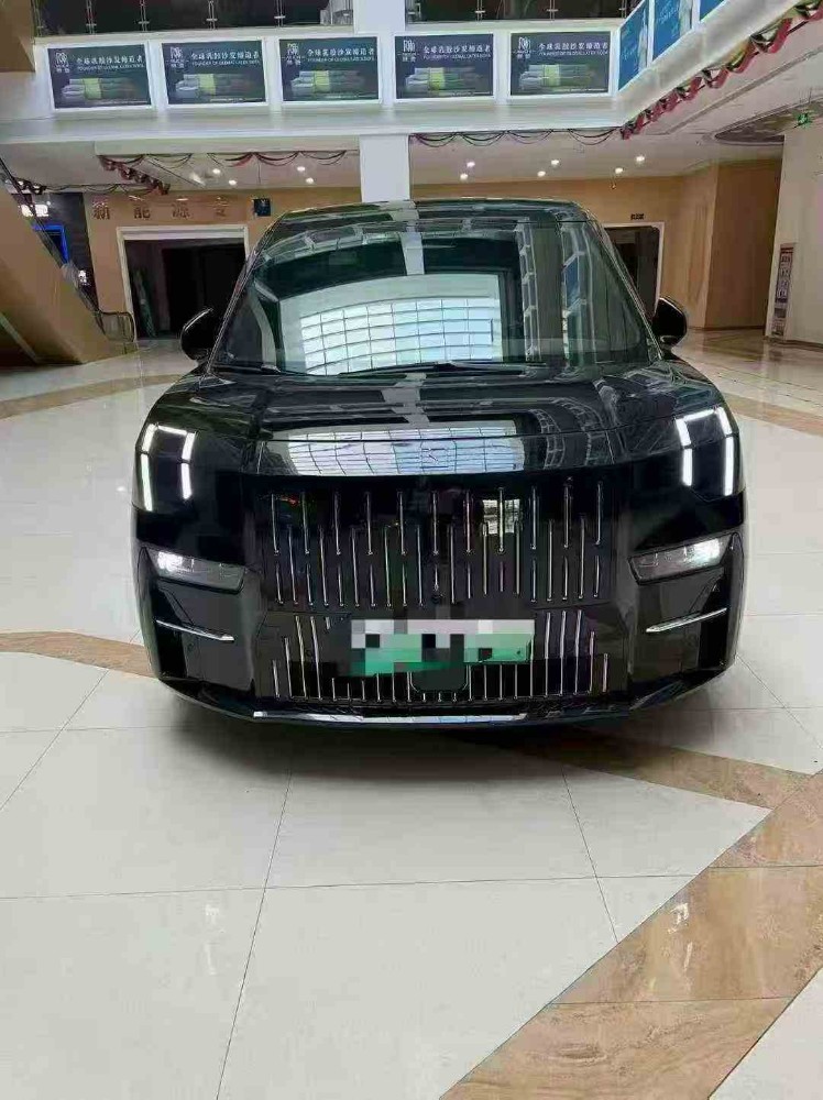 铜陵24年极氪汽车0091